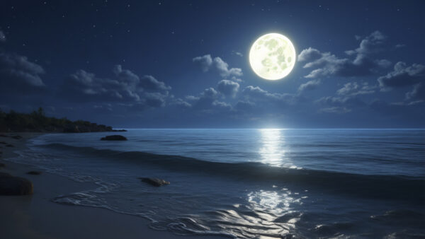 🌕¿POR QUÉ MEDITAR EN LUNA LLENA? (SIGNIFICADO)