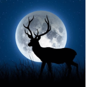 🌕MEDITACIÓN DE LA LUNA LLENA DE JULIO 2025